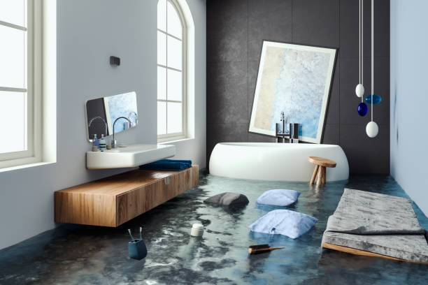 Best Water damage restoration process  in Winfield, MO