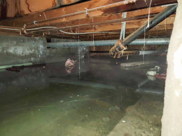 Best Residential water damage restoration  in Winfield, MO