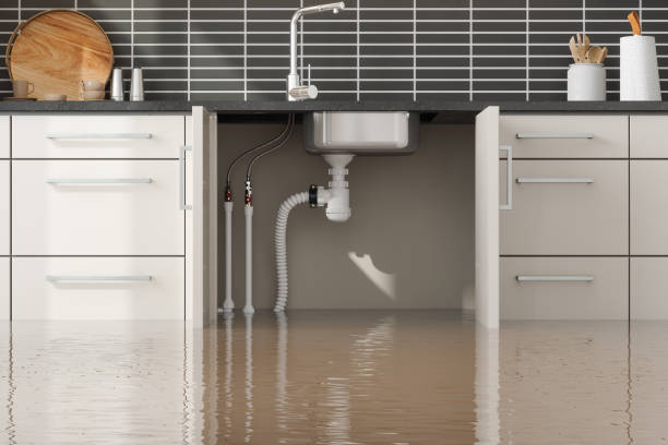 Best 24-hour water damage restoration  in Winfield, MO