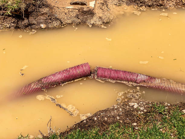 Best Basement water damage restoration  in Winfield, MO