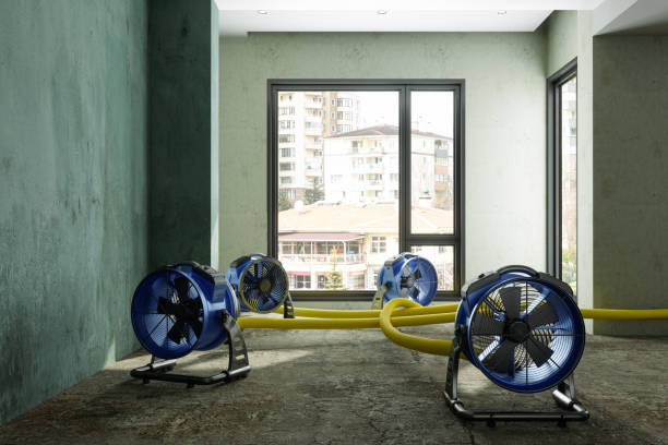 Best Ceiling water damage repair  in Winfield, MO